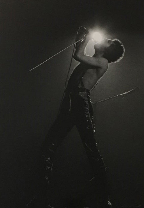 Freddie Mercury 1979 - Philippe Carly (Signed by the photographer)